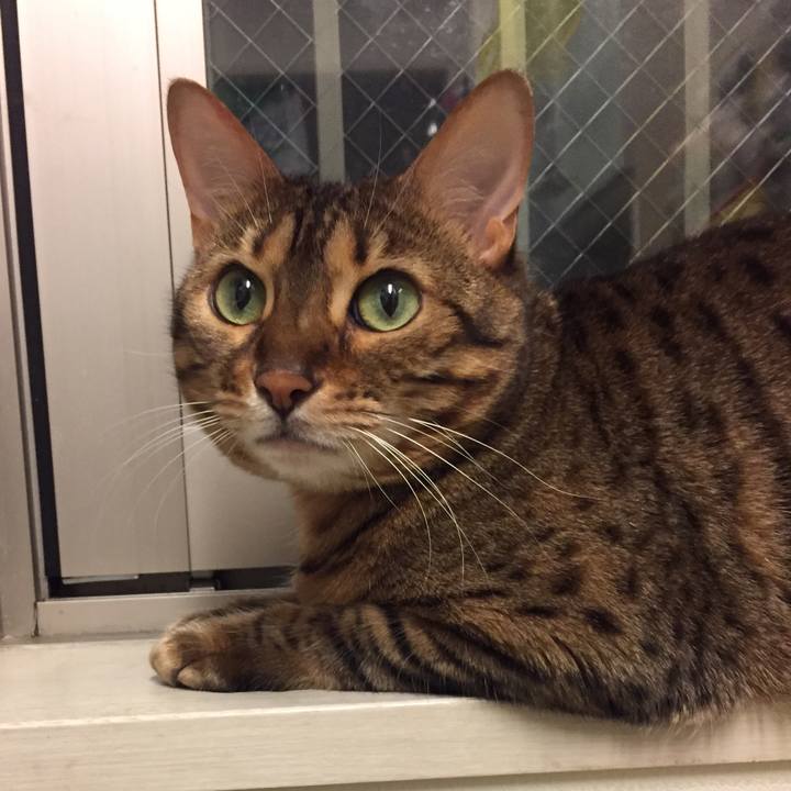 10fa3a4c 2009 4c84 a00d 547802d34dda 1527898236163