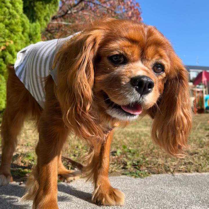 10fa5415 cb2b 4c85 bb57 9fea226b0dda 1667435492068