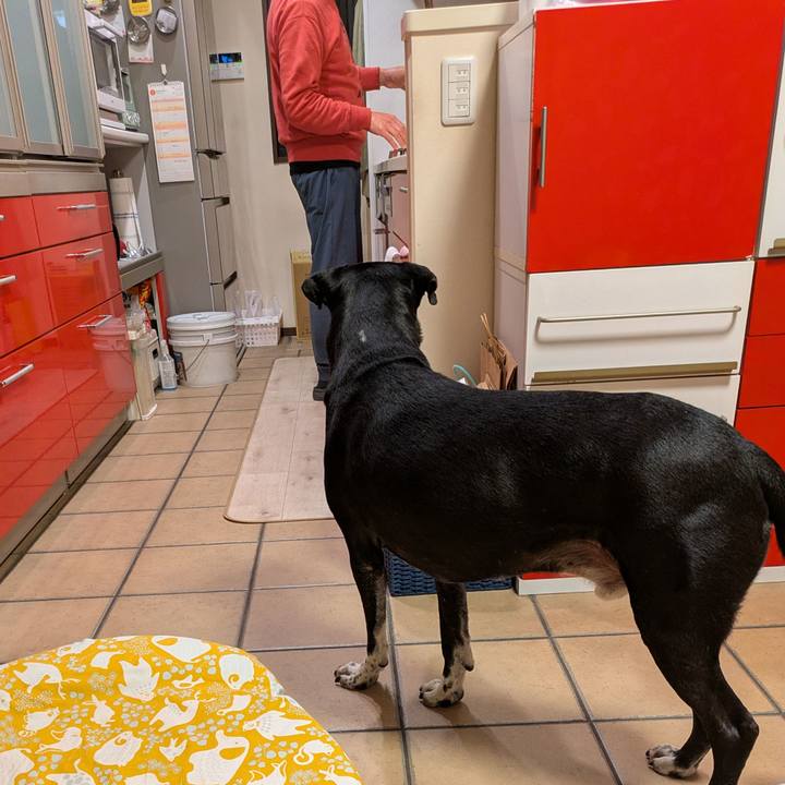 10fa5f2d fe33 4f45 b60e 0bfad8bc0b21 1736161383737