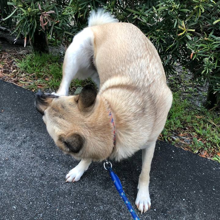 10fa8c3c a954 4ac5 8206 603ed9af454b 1521549628838