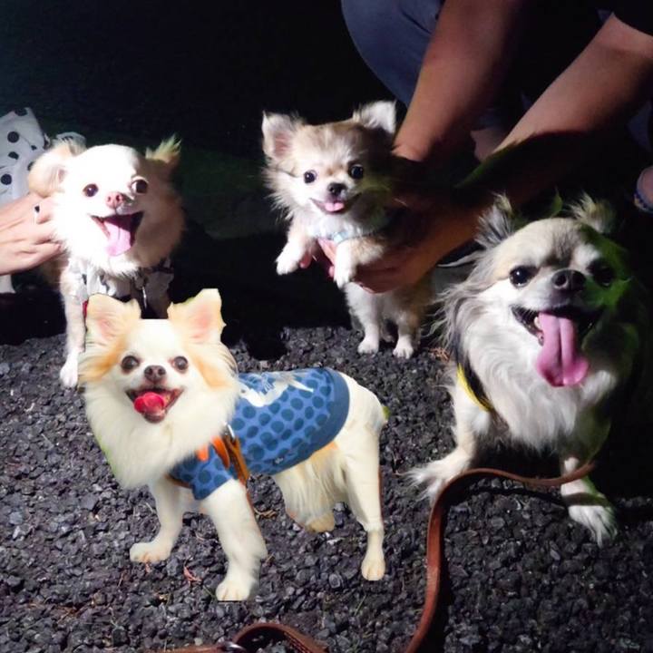 10fa8ece a3f5 4319 ba4b 9a43d5e14321 1692363232189