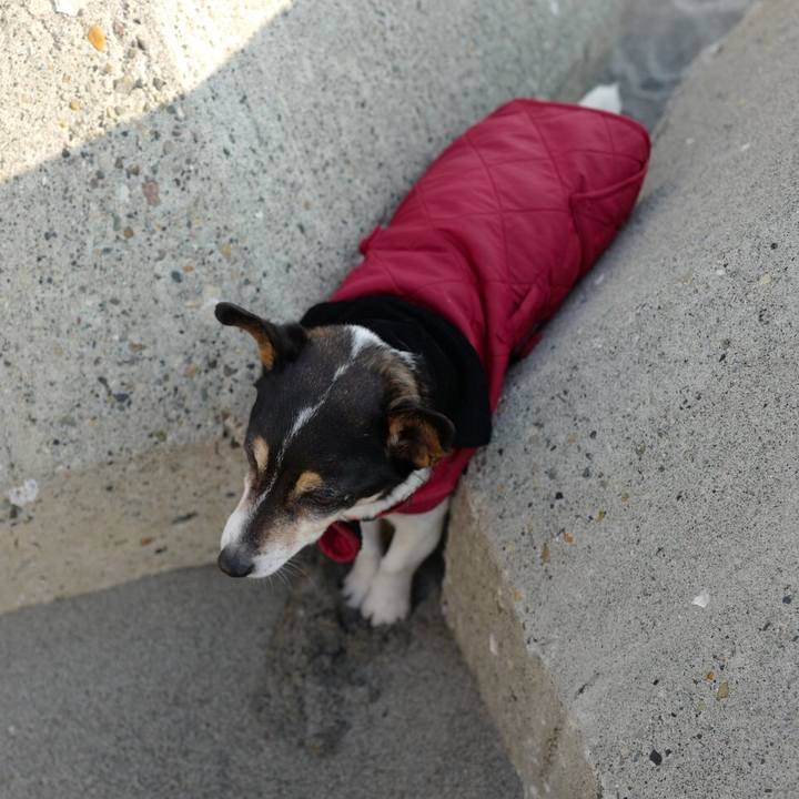 10fa9ae8 be39 4238 91ef 2af9bfa60d85 1551588995650