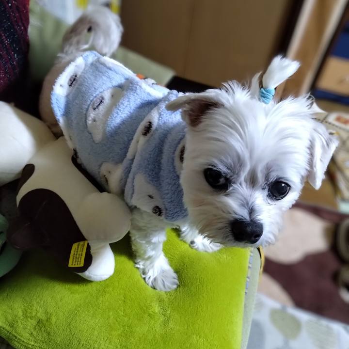 10faca72 1c84 4c90 8698 d71a7e6d7cf5 1732790148914