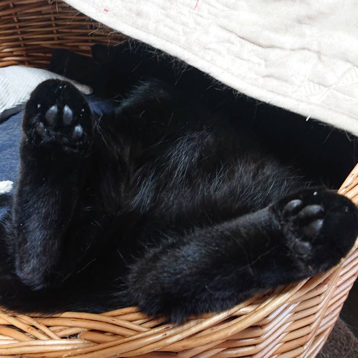 10fad58d d5ec 4941 84c8 a4ad1e03af93 1684886667411