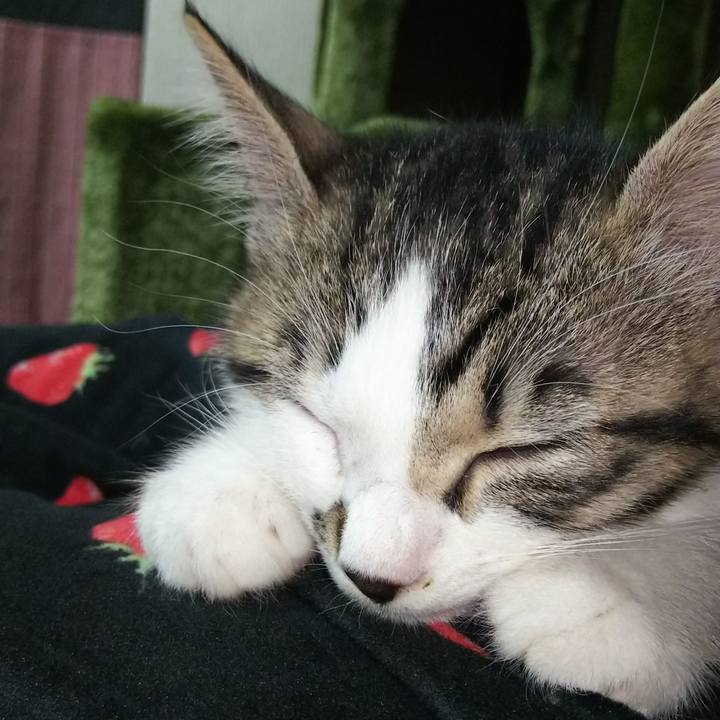 10fada17 98bf 4724 8ddb e525c27be976 1606560137829