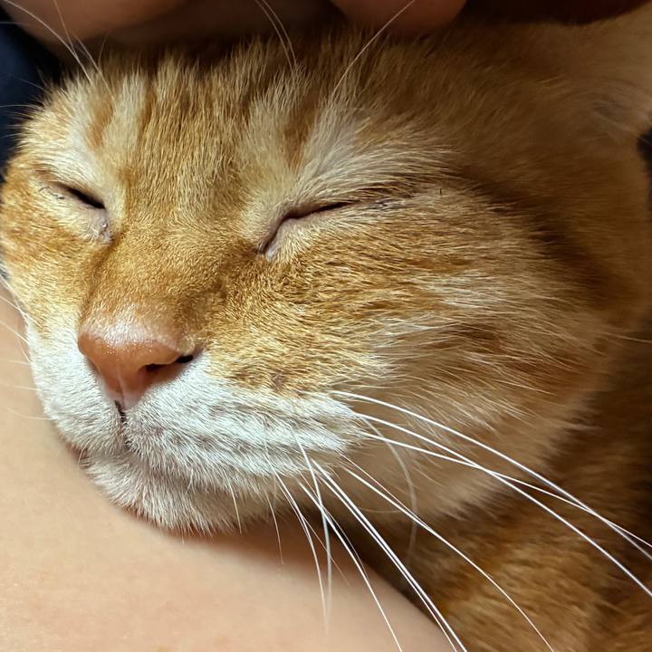 10faff74 5539 45e8 8431 d7ede6c05c39 1761302599152