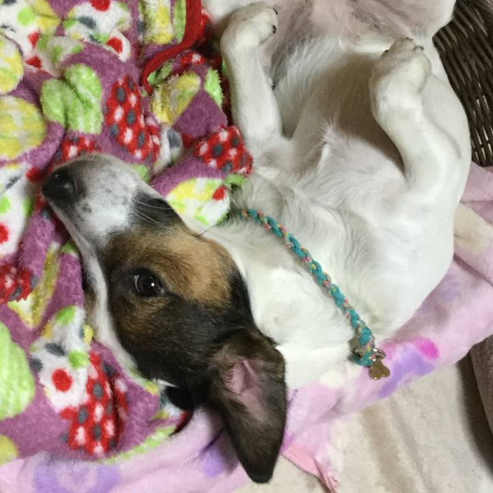 10fb0e81 748d 4335 b0d1 ace61660324c 1509103701572