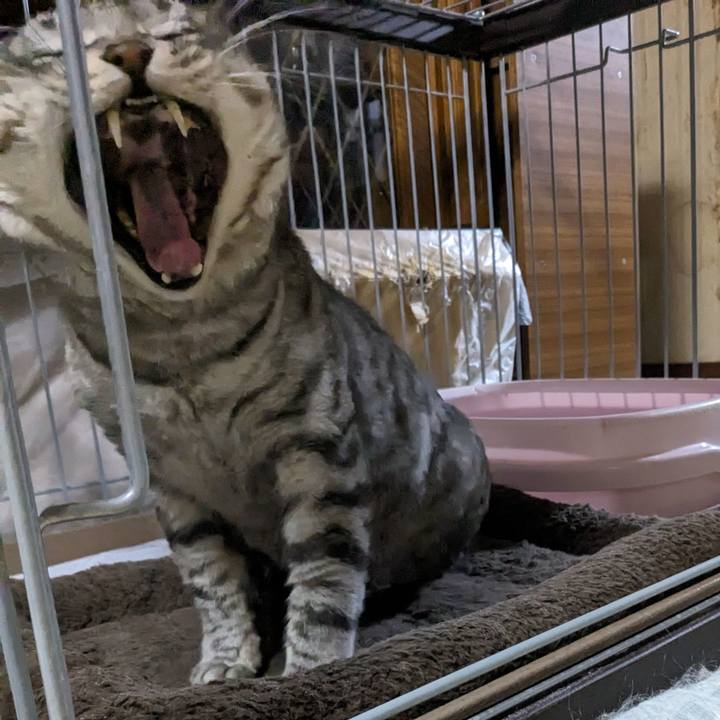 10fb2480 f613 4d18 a78b c1db62ad7e18 1702382696996