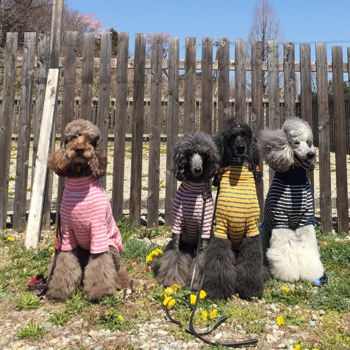 10fb2d73 0f9e 4b9c 90a5 885f875214af 1555209105071