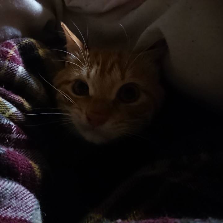 10fb5003 76db 4c4f b47b cf40b23ec1cd 1639428279102