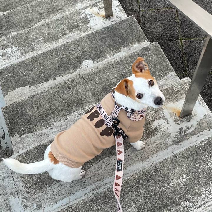 10fb6830 4a9d 45f5 b2c0 d981352279d2 1710948649606