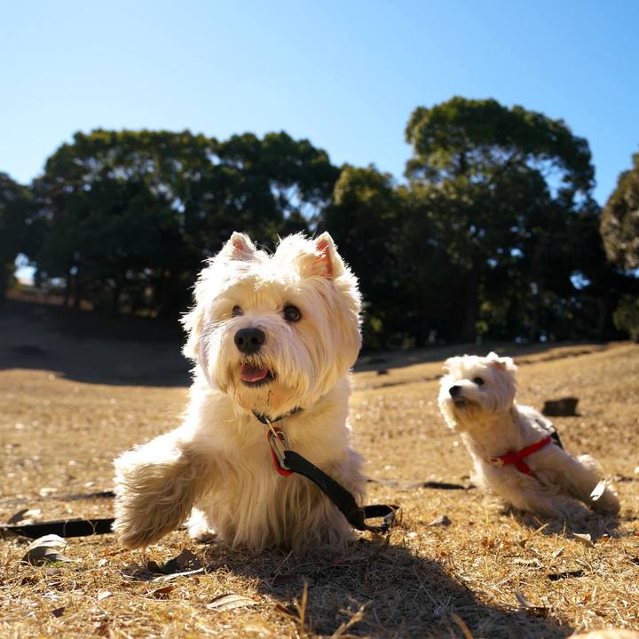 10fbaa3e 8dc7 499d bb3e 7d57f6544d5d 1515977394039