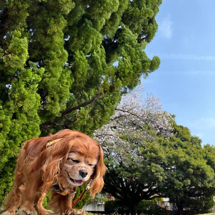 10fc0eab c2f4 4dbe b08e 91ea6ce6ac60 1774834668934