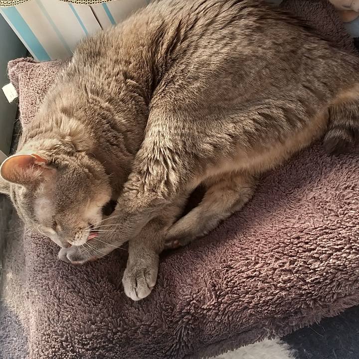 10fc296b 6e05 47ce 9ef5 49716c72e38e 1642134774248