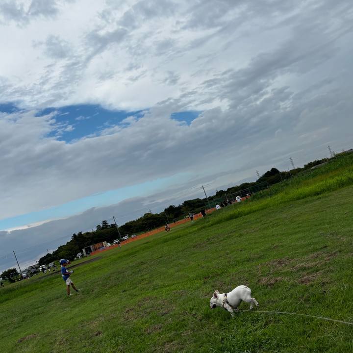 10fc5cbe 0e4b 4aaa b200 634caab8e3b6 1788651058185