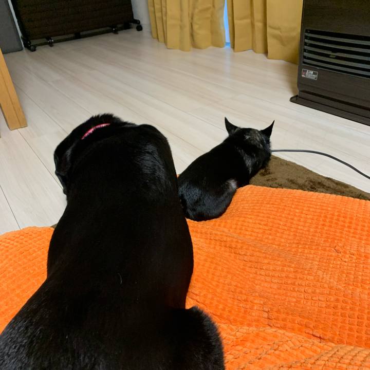 10fcb0a5 53a9 457f ba49 ee5fe1ecf2e0 1671354906725