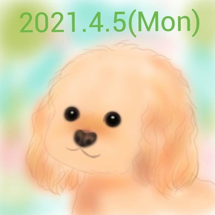 10fcd1c4 e5e8 4667 aa74 5d2ef0de4b4a 1617623836081