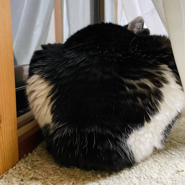 10fcd49c 526a 4aa9 8057 f060d3dd5d9f 1649639692649