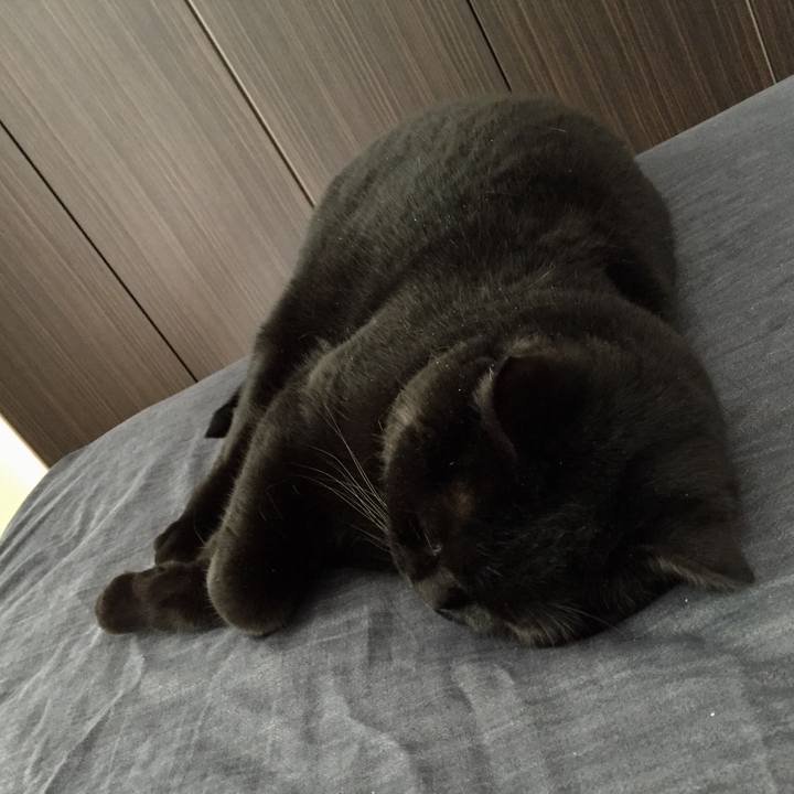 10fcf8c9 a286 4a45 a5cb 692e6a1539ba 1589093611888