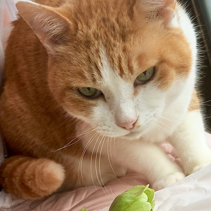 10fd3124 a0f1 4baf 99e9 e81d6f919064 1585627255134