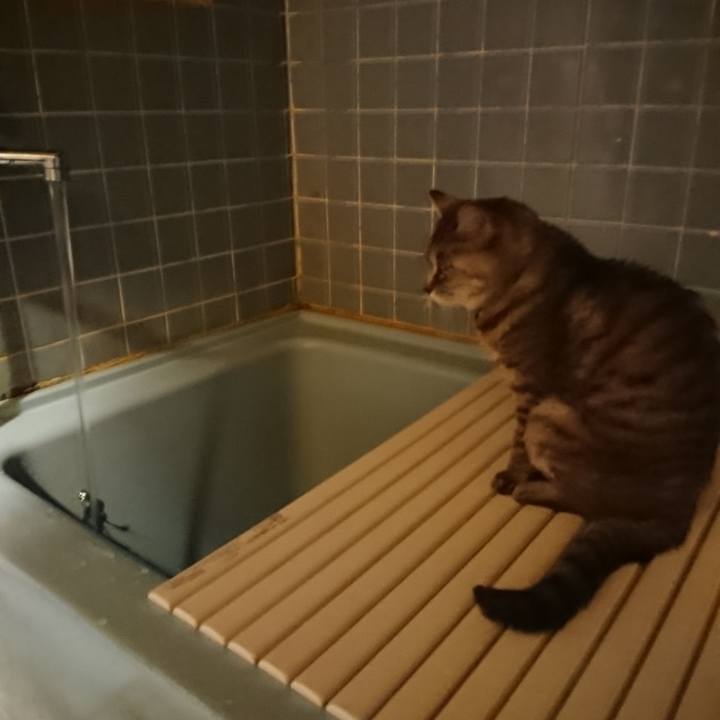 10fd4259 5b20 4267 b3d1 80ae0ca09eb5 1571391050875