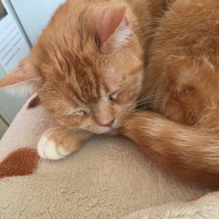 10fd6a41 04cf 4000 b7b5 e643bc75d115 1554521723841