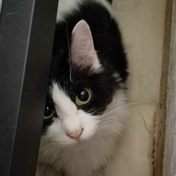 10fd6dd0 fd9f 4b85 aba9 9859ae242eb8 1590836660419