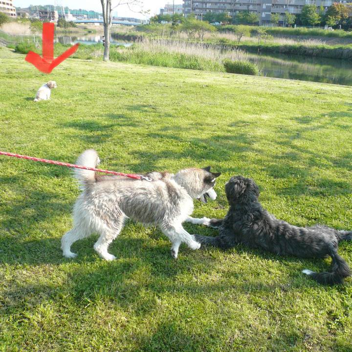 10fd7edc 23c6 4413 8413 1d70adbcfc6f 1624363540885