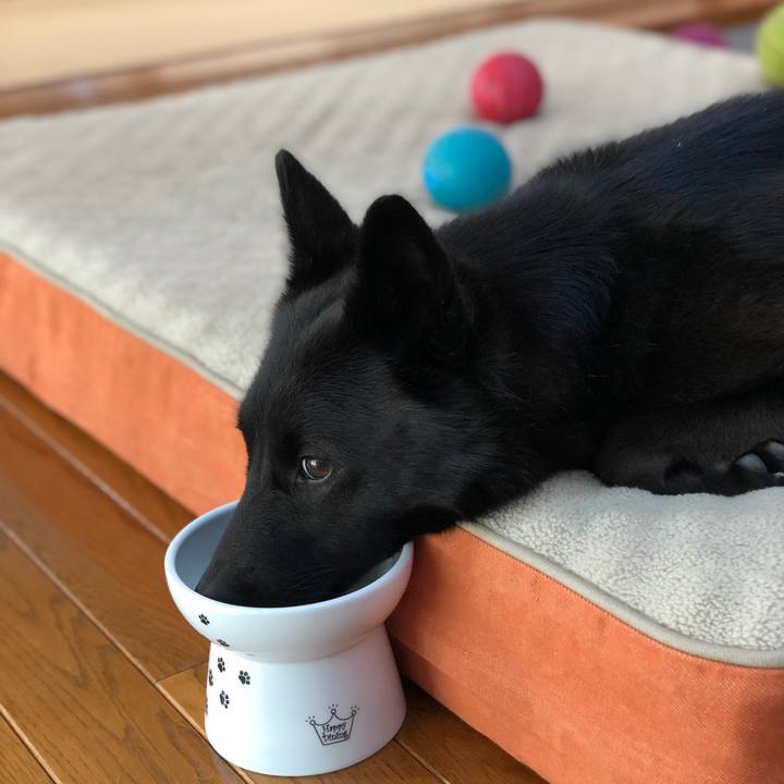 10fd892e bc1d 4eff a490 f788b3d07065 1554852794090