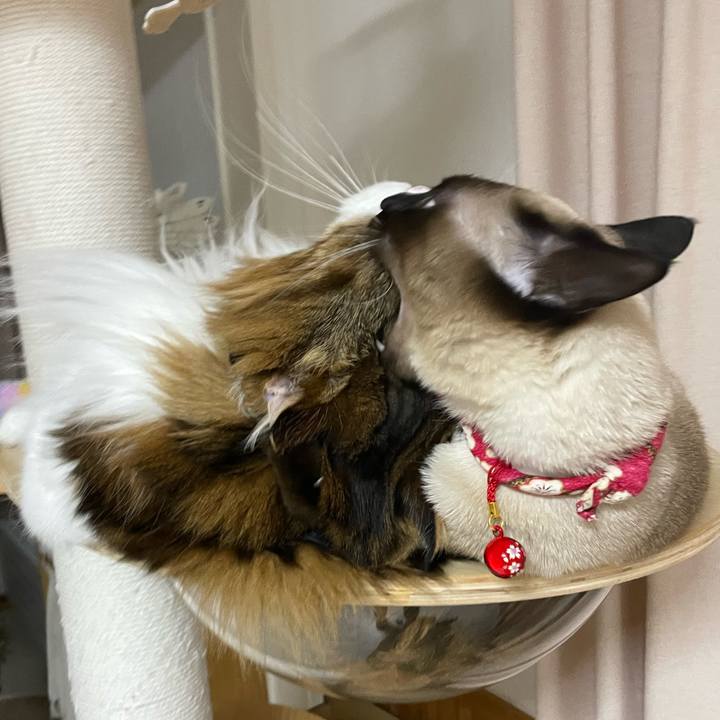 10fdb263 24de 40f3 a47f b1ca4f636f80 1736679646104