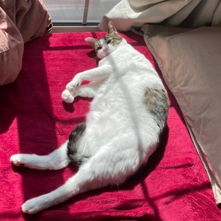 10fe4f98 6545 4a49 9d3b 79fe7a44d719 1646127029993