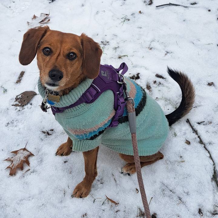 10fe58df 6061 4c82 b387 f59ced8200cf 1765072284071