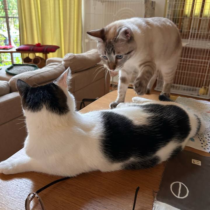 10fe7489 da4b 4358 a7ed 2f54cb08e65e 1753826931130