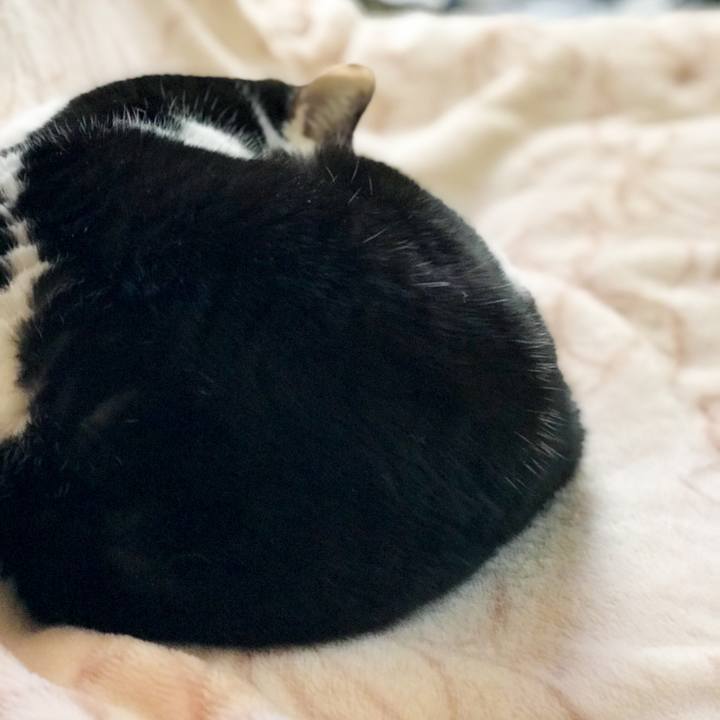 10fe76a2 6863 46bb 81e2 b685dddf6d37 1517747882580