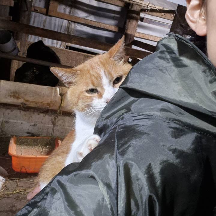 10fe7c8f 3568 48c9 9c1f 6b270b71c084 1765316465603