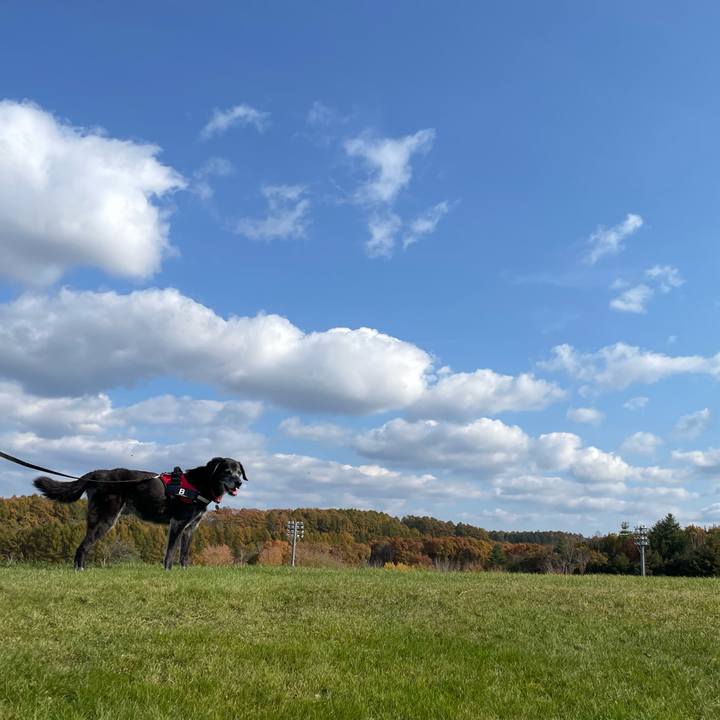 10fe950f daa4 4f35 88ac e288e0d91dcc 1761801164991