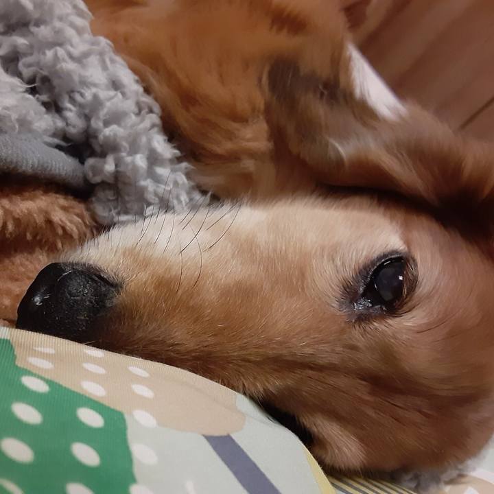 10fea5ad ff85 4ab2 ae62 e929862e1bbf 1619009838304