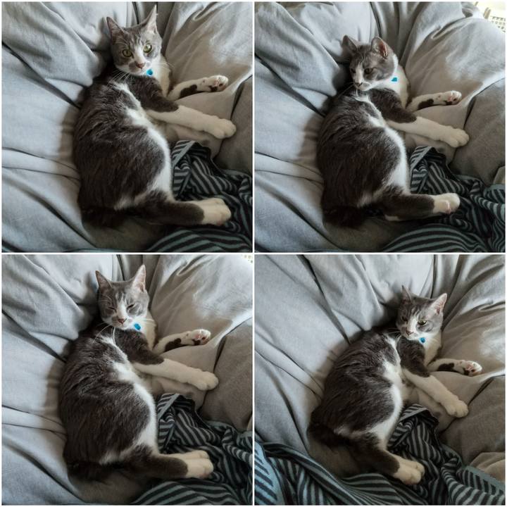 10feb628 c711 41da b478 a60b93ac66aa 1617494288804