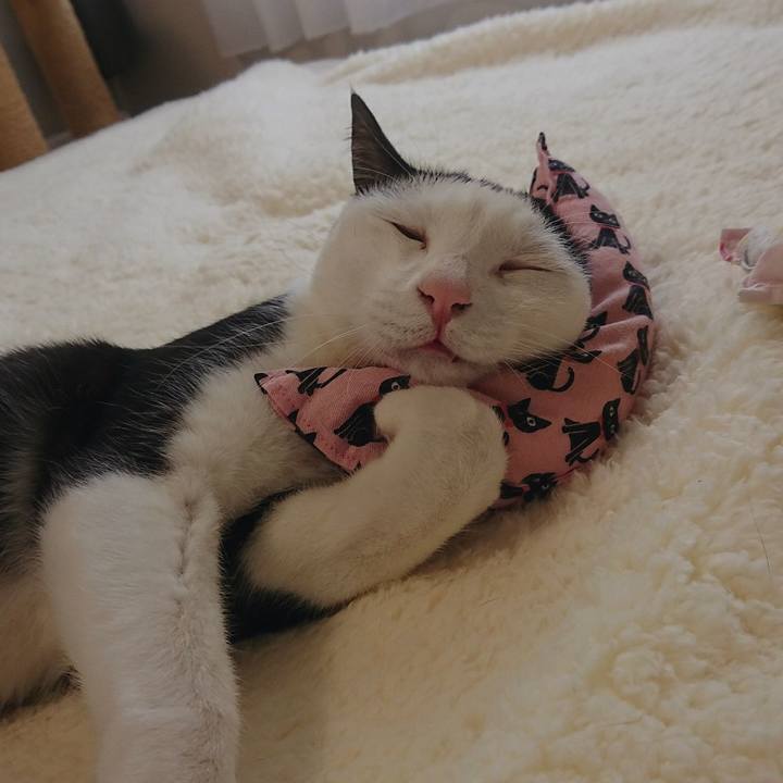 10fecef3 6385 4343 80ef b85ceb5c1d9a 1561812928009