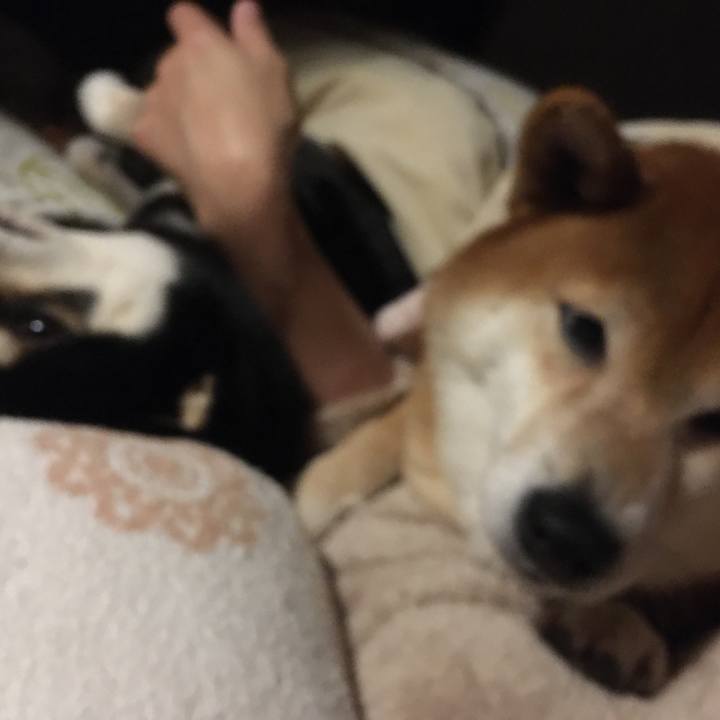 10fefb7d 6fda 407a 9260 12e3cf3133d1 1616065098061