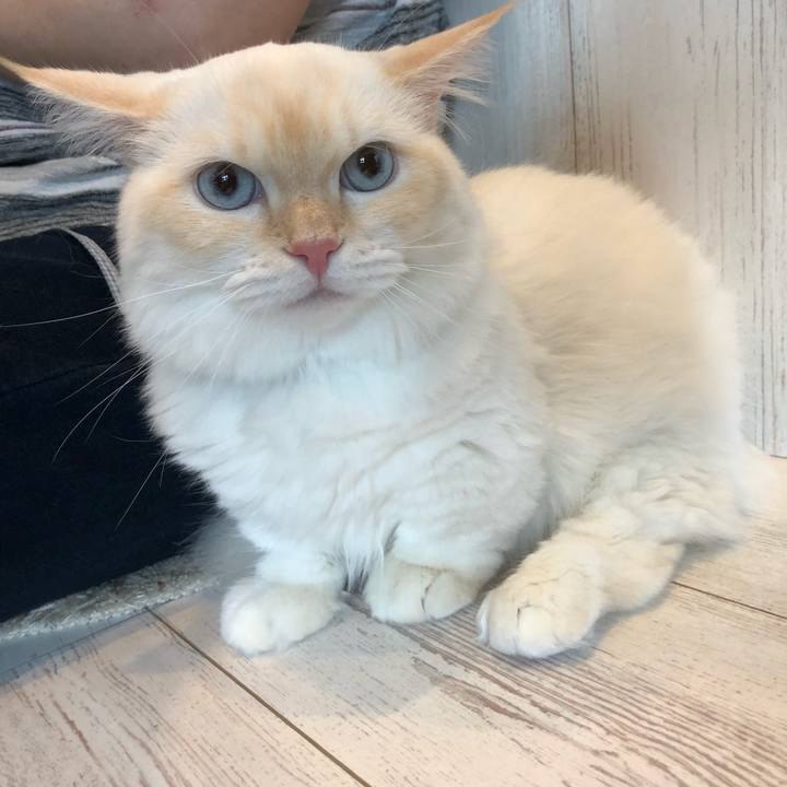 10ff4128 cf41 473f a982 7565b510a4af 1625912974215