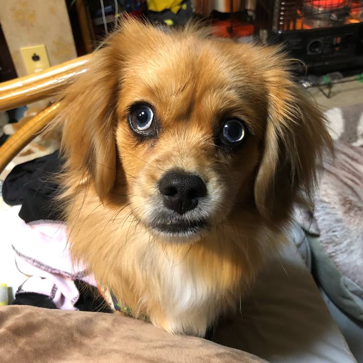 10ff4761 d417 47d0 a3a7 b4557fb9f846 1516744333107