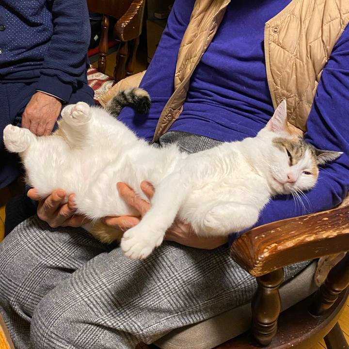 10ff51fb 5337 40e1 a9e8 81452182d9df 1771585401549