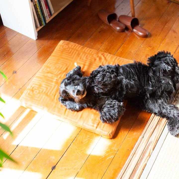 10ff93bb 8e07 4cf9 9909 3c7699b70403 1572579066636