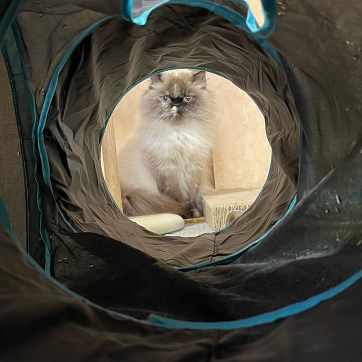 10ffa0d5 3a55 41f5 a287 a220c8e81b53 1743904361483