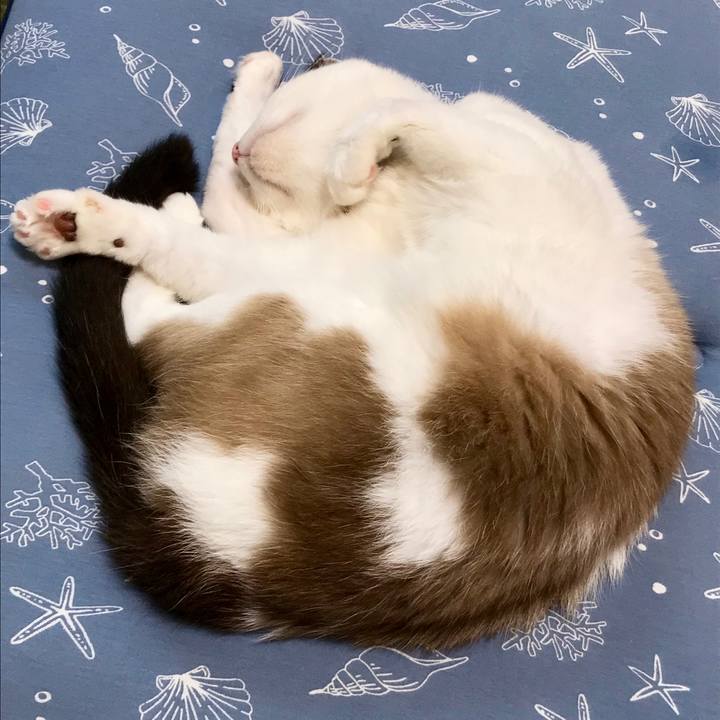 10ffc74b 139f 4d10 bc6f 42050f89716c 1535528472702