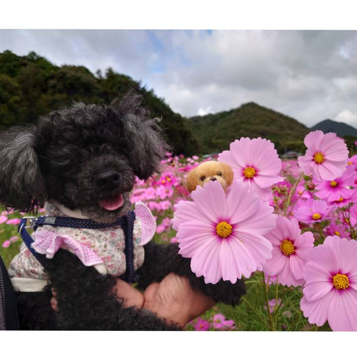 10ffe399 06e3 498f be5e 3fc9716df610 1760944696070