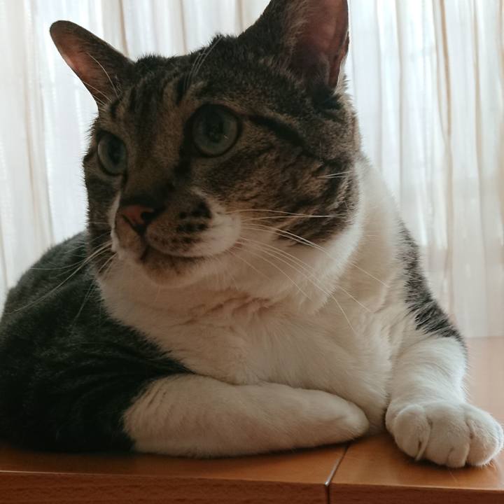 110001d7 6440 49a1 9580 053bb2aff49d 1535848934858