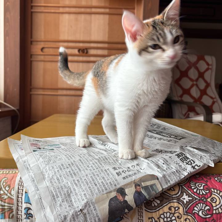 110001f6 6a04 462b 98cd 86a44c54c789 1766152547813