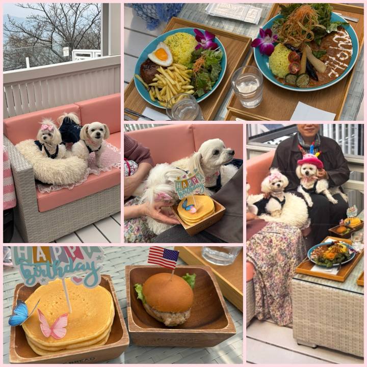 11001bb9 2b7a 4955 beb1 6a0c90db7c1a 1742813675061